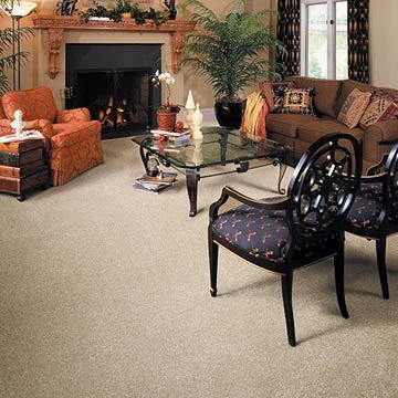 Transform your space using carpets!