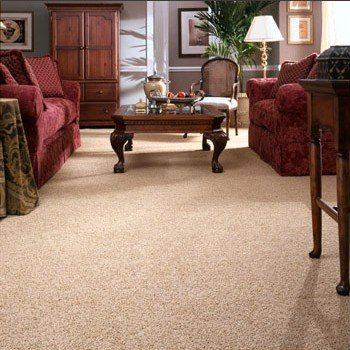 Polyester carpet styles.