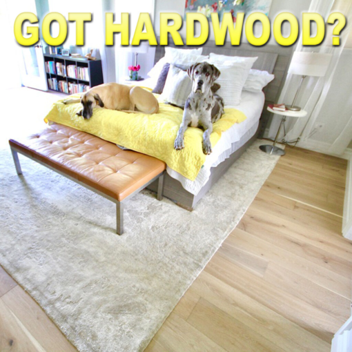 Got Hardwood Flooring? Why choose hardwood flooring!