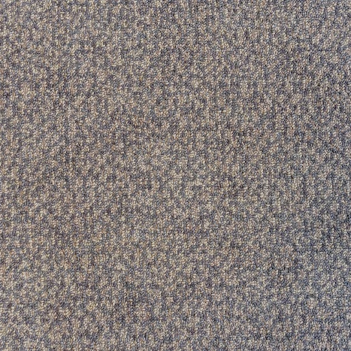 New Carpet Before the Holidays