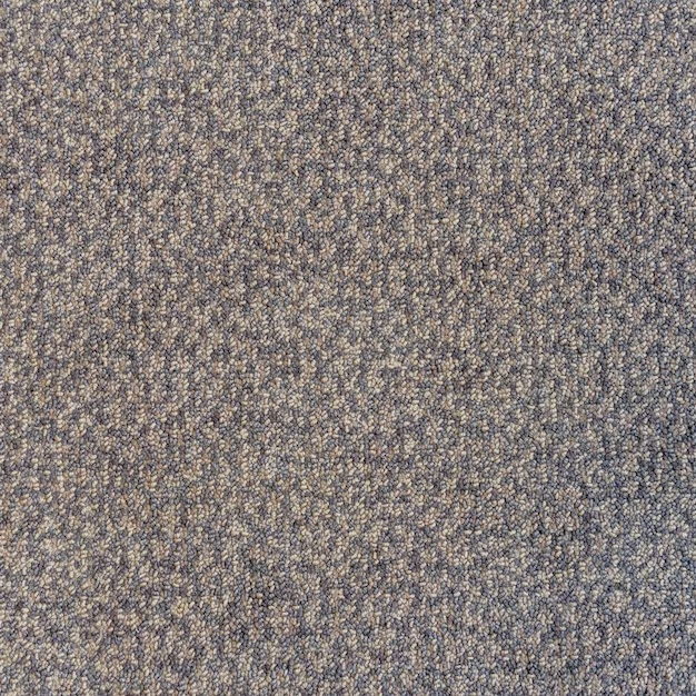 New Carpet Before the Holidays