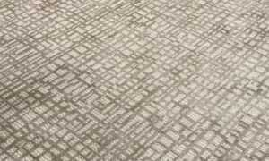 dixiehomecarpet56226287_394035881146714_8025276560319801140_n