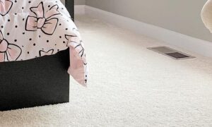 dixiehomecarpet84116137_134991664678229_1438503253501480963_n