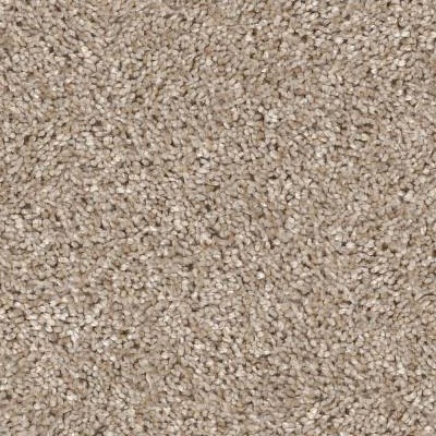 00100-5E038 Shaw Carpet All About It Biscotti