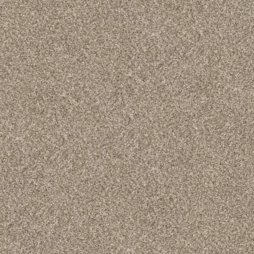 Transform Your Space with Plush Carpet in Carlsbad