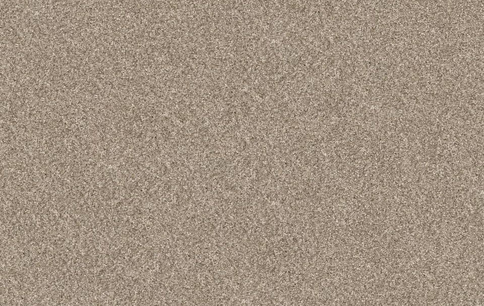 Transform Your Space with Plush Carpet in Carlsbad