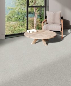 EngineeredFloorsCarpet-10