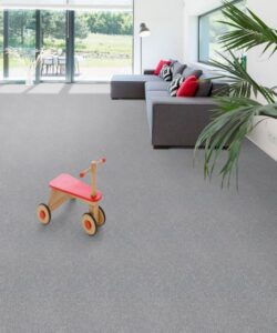 EngineeredFloorsCarpet-12