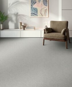 EngineeredFloorsCarpet-7