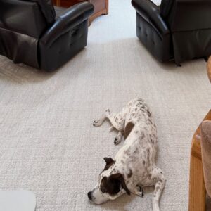 MaslandCarpets-11